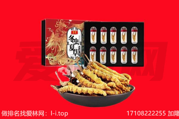 海东化隆县回收虫草.jpg